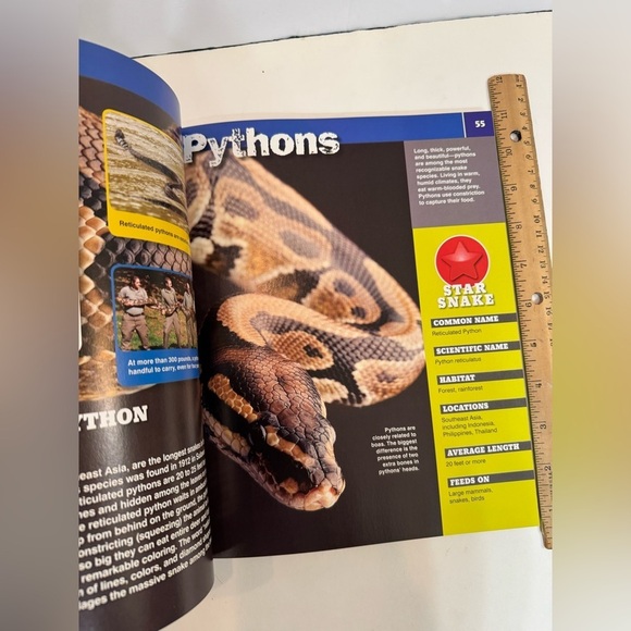 Discovery Snakeopedia: The Complete Guide to Everything Snakes Book for Kids - Picture 7 of 9